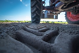 拖拉機,landtechnik,字段