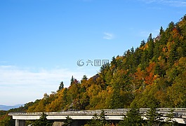 秋,天空,葉子