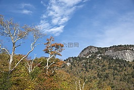 秋,秋天樹葉,季節(jié)