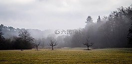 景觀,霧,性質