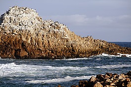 南非,kynsna头,海景