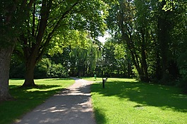 公園,徑,路徑