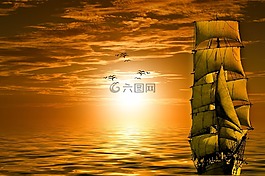 太阳,船舶,海鸥