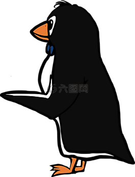 無尾禮服,動物,鳥