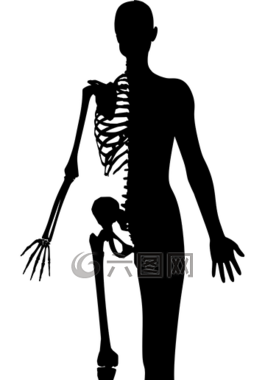 女子,女性,骨骼