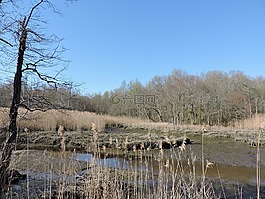 灣,自然,藍(lán)色