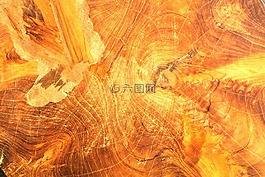 木,背景,結(jié)構(gòu)