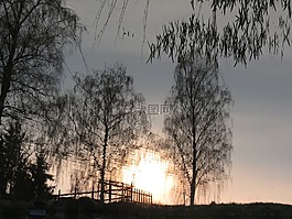 反思,樹(shù),日落