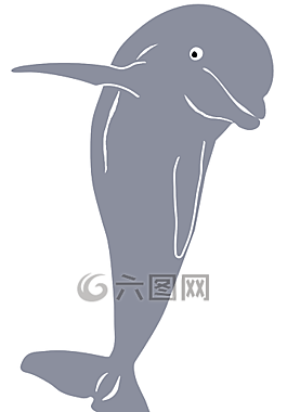 海豚,哺乳動物,魚