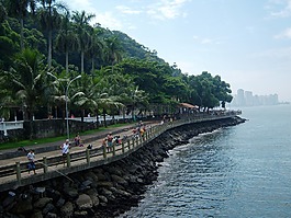 漁業,釣魚的人,海釣