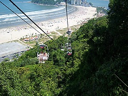 電纜車,大西洋森林,森林