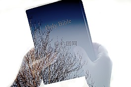 圣經(jīng),閱讀,書