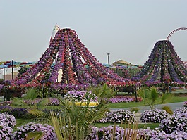 花,花園,花的