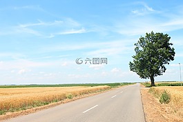 路,木材,性質(zhì)