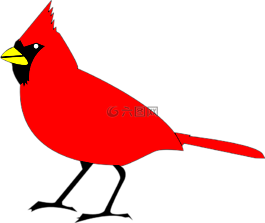 紅衣主教,鳥,動物