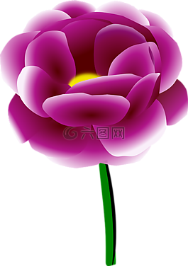 牡丹,花,春