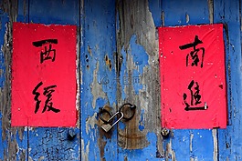 涂鴉,木,跡象