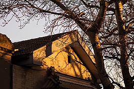 夕陽,影子,北京