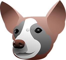 狗,獵犬,臉