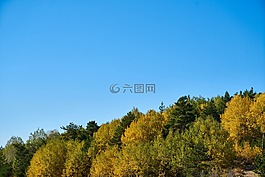 秋,季節(jié),景觀