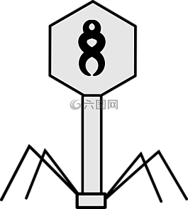 病毒,噬菌體,科學(xué)