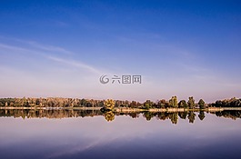 景觀,森林,天空