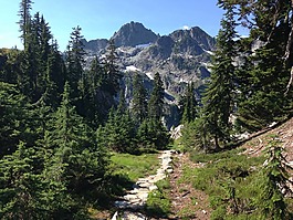 山,路徑,自然
