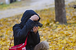 攝影師,過程,照片