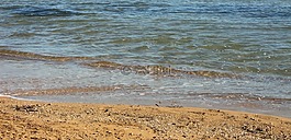海灘,海,假期