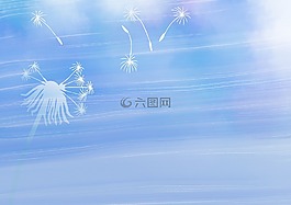 鮮花,花的,植物