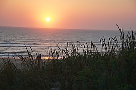 biscarrosse,大西洋,沙丘