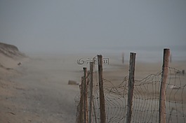 biscarrosse,大西洋,沙丘