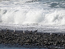 海,波,噴霧
