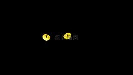 黑貓,眼睛,貓的眼睛