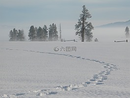 雪,冬天,曲目