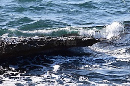 海,巖,海岸