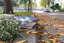 秋天,街道,書本