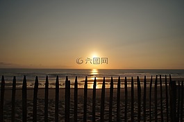 日落,篱笆,biscarrosse