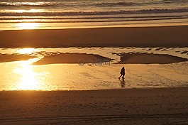 海灘,日落,海