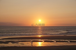 日落,海洋,海