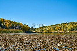 秋,季節(jié),景觀