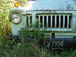 貝德福德,車,老