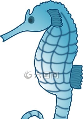 海馬,魚,動物
