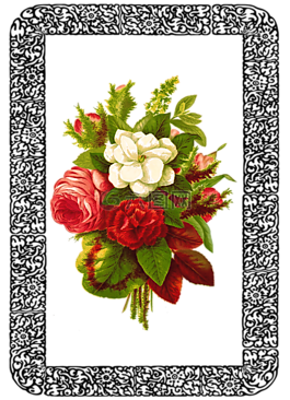 釀酒,玫瑰,花束
