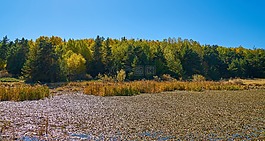 秋,季節(jié),景觀