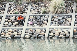 菲舍爾,石板坡,魚