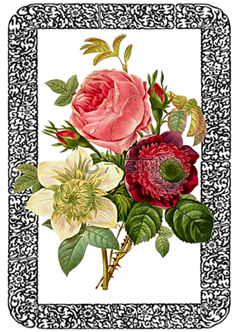 釀酒,玫瑰,花束