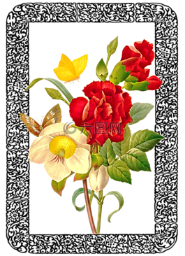 釀酒,玫瑰,花束