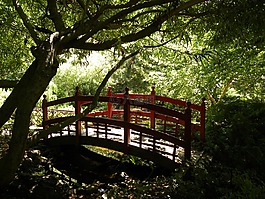 花園,紅色,橋