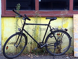 自行車,后院,黃色